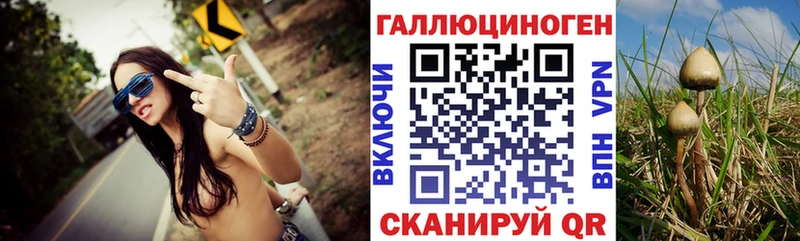 Псилоцибиновые грибы мицелий  Тюкалинск 
